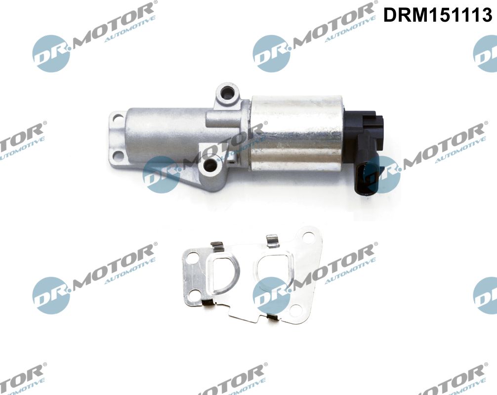 EGR Valve (DRM151113)