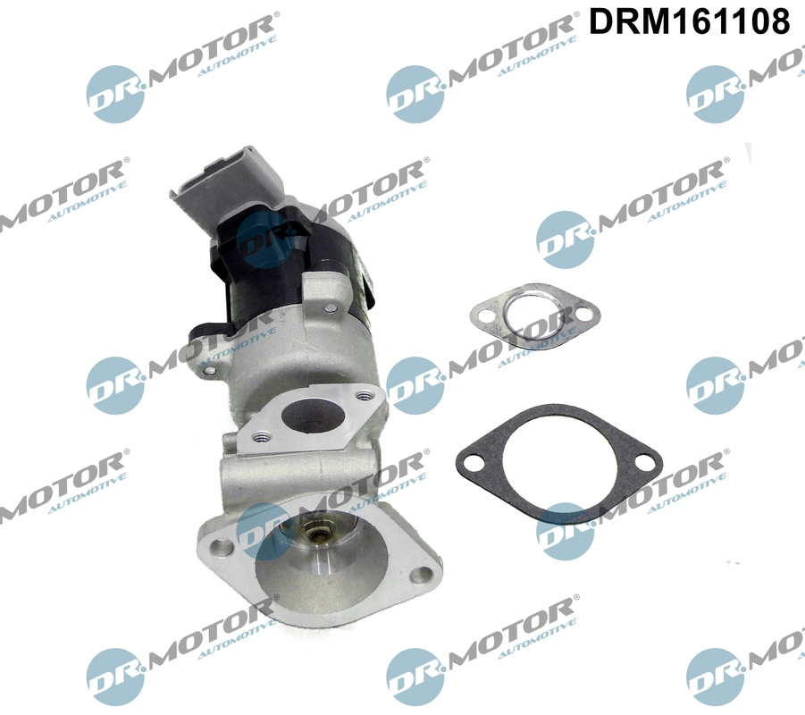 EGR Valve (DRM161108)
