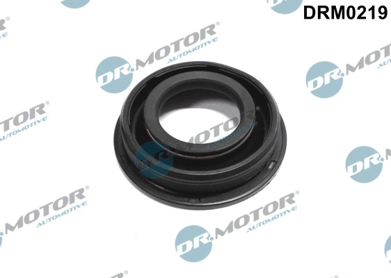 Seal, injector holder (DRM0219)