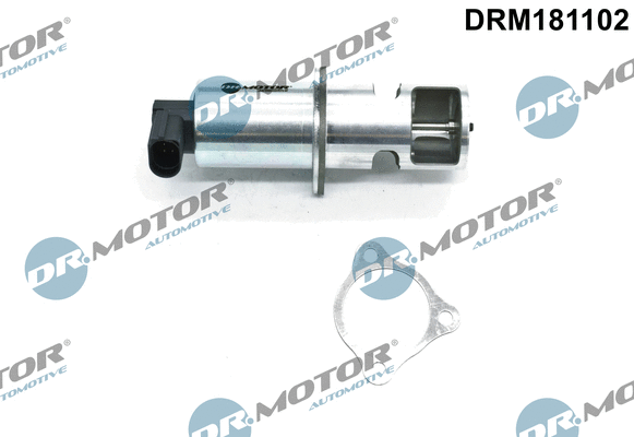 EGR Valve (DRM181102)