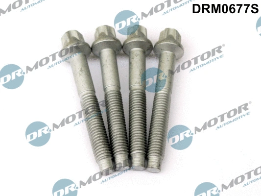 Screw, injection nozzle holder (DRM0677S)