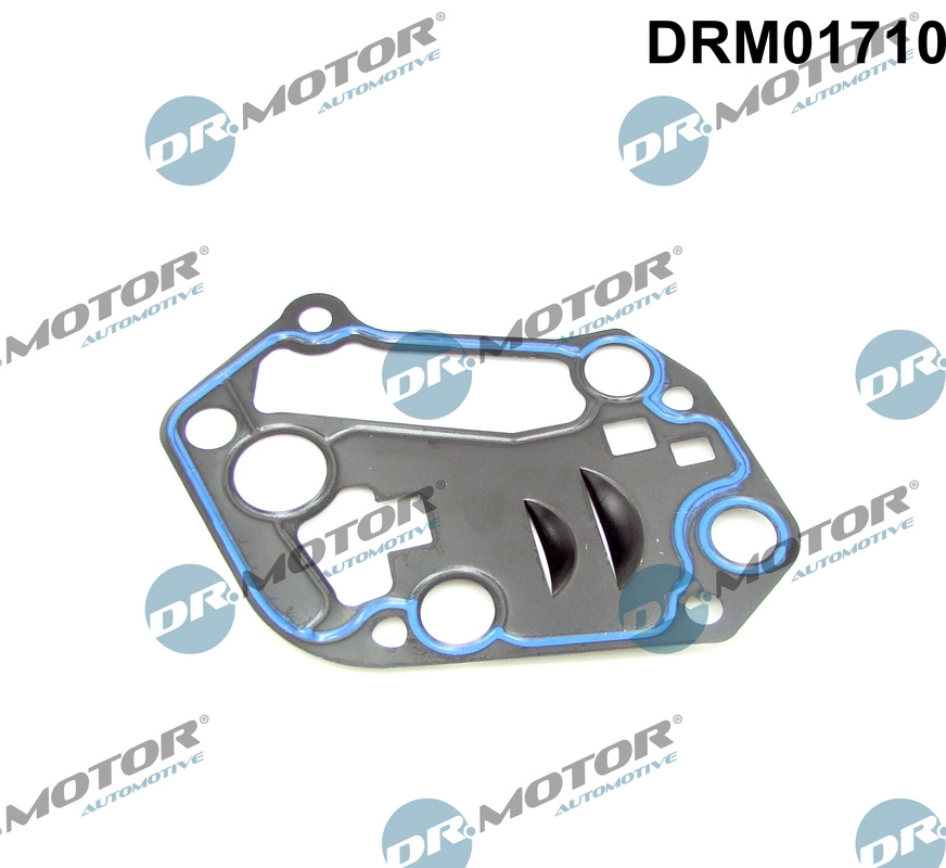 Gasket, oil filter housing (DRM01710)