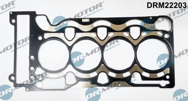 Gasket, cylinder head (DRM22203)