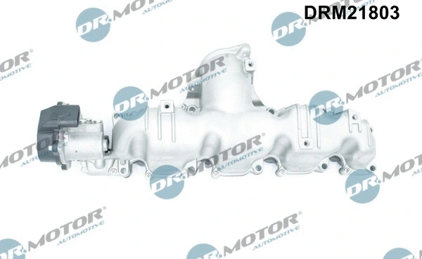Intake Manifold Module (DRM21803)