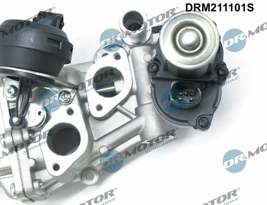 EGR Valve