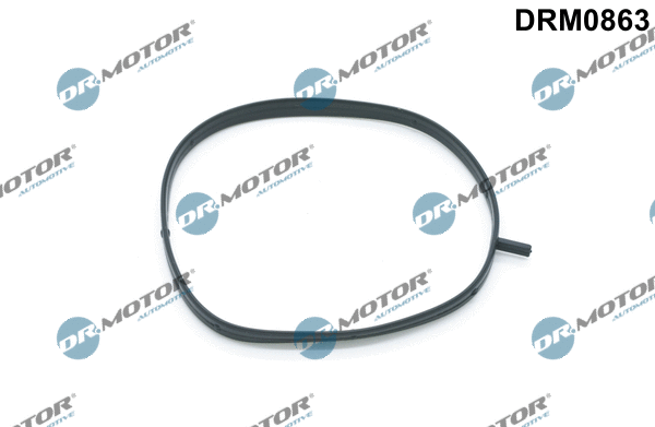 Gasket, intake manifold housing (DRM0863)