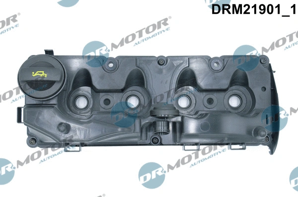 Cylinder Head Cover (DRM21901)