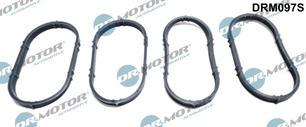 Gasket Set, intake manifold (DRM097S)