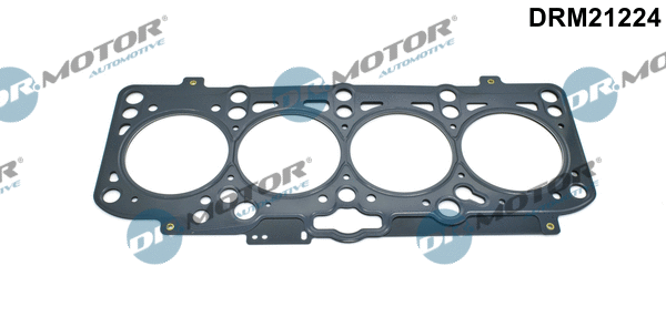 Gasket, cylinder head (DRM21224)