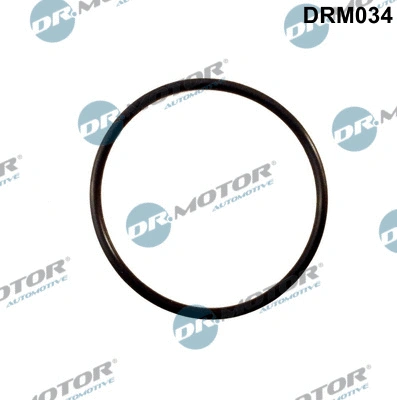 Gasket, intake manifold (DRM034)