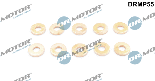 Seal Kit, injector nozzle (DRMP55)