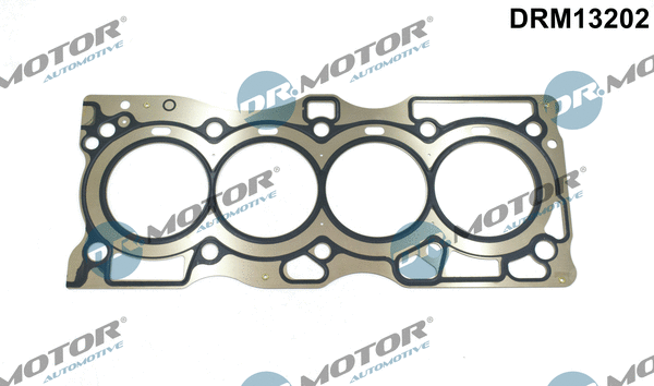 Gasket, cylinder head (DRM13202)