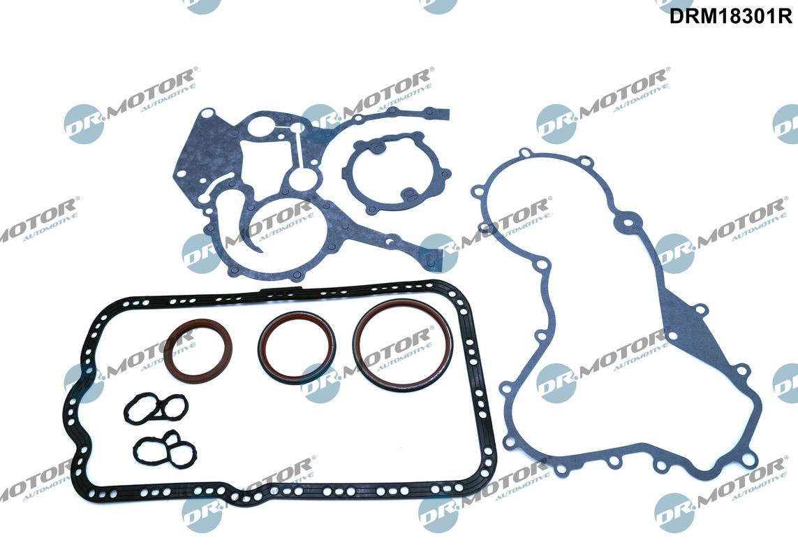 Gasket Kit, crankcase (DRM18301R)
