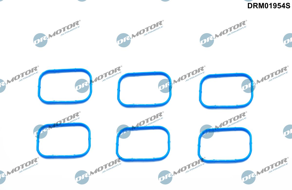Gasket Set, intake manifold (DRM01954S)