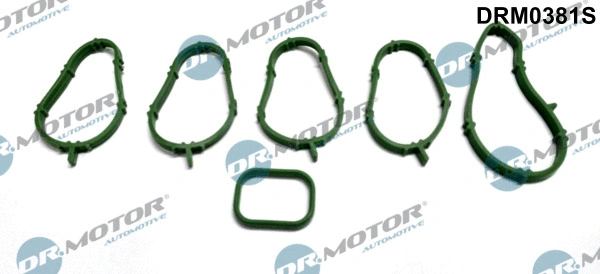 Gasket Set, intake manifold (DRM0381S)