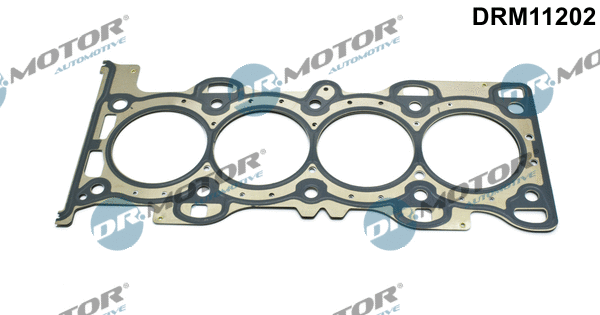 Gasket, cylinder head (DRM11202)