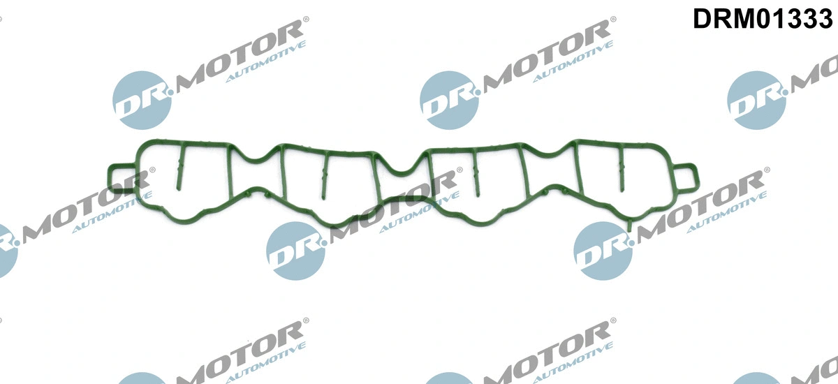 Gasket, intake manifold (DRM01333)