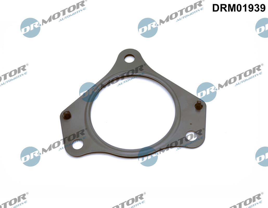 Gasket, exhaust pipe (DRM01939)