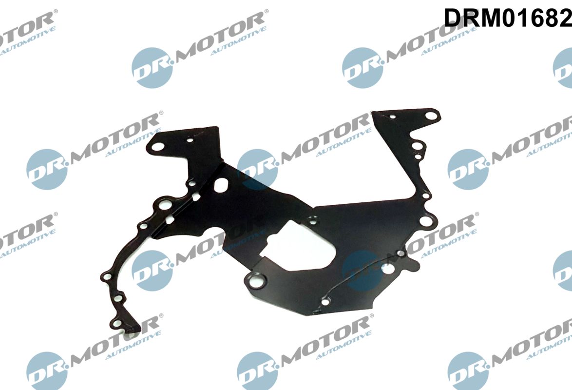 Gasket, timing case (DRM01682)