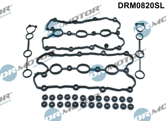 Gasket Set, cylinder head cover (DRM0820SL)