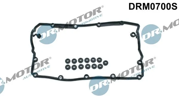 Gasket Set, cylinder head cover (DRM0700S)