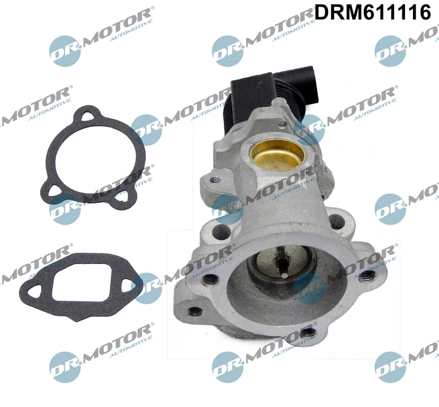EGR Valve (DRM611116)