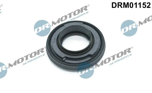 Shaft Seal, crankshaft (DRM01152)