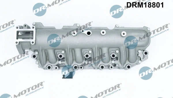 Intake Manifold Module (DRM18801)