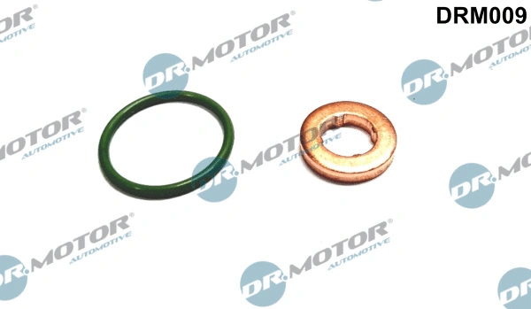 Seal Kit, injector nozzle (DRM009)