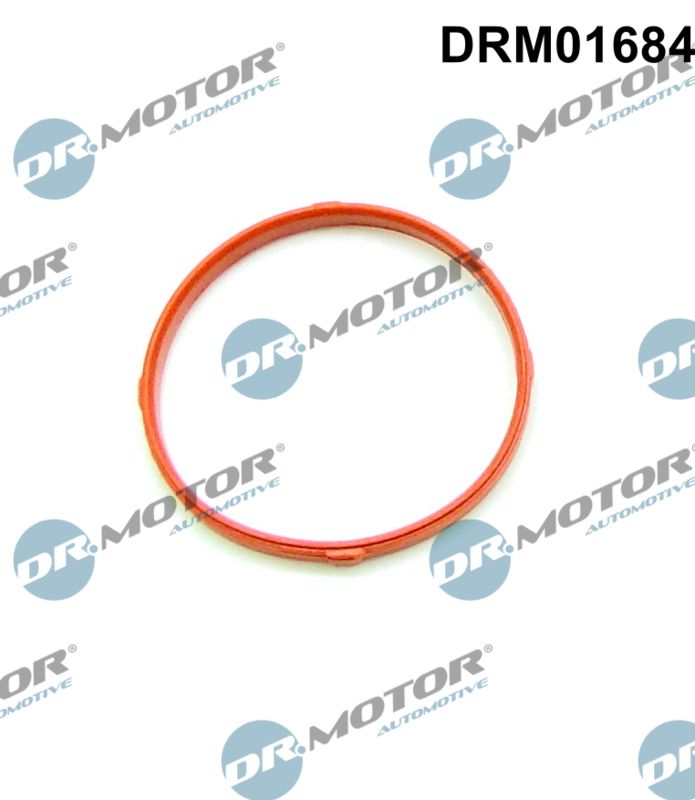 Gasket, throttle body (DRM01684)