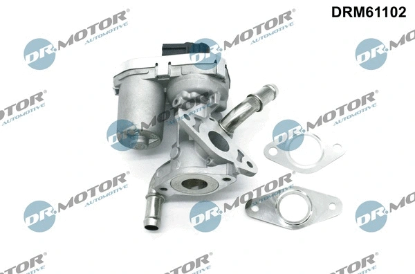EGR Valve