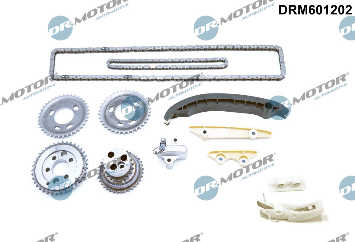 Timing Chain Kit (DRM601202)
