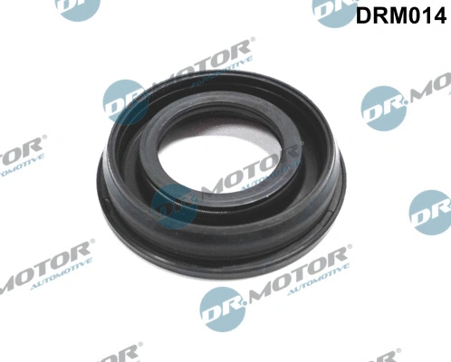 Seal, injector holder (DRM014)