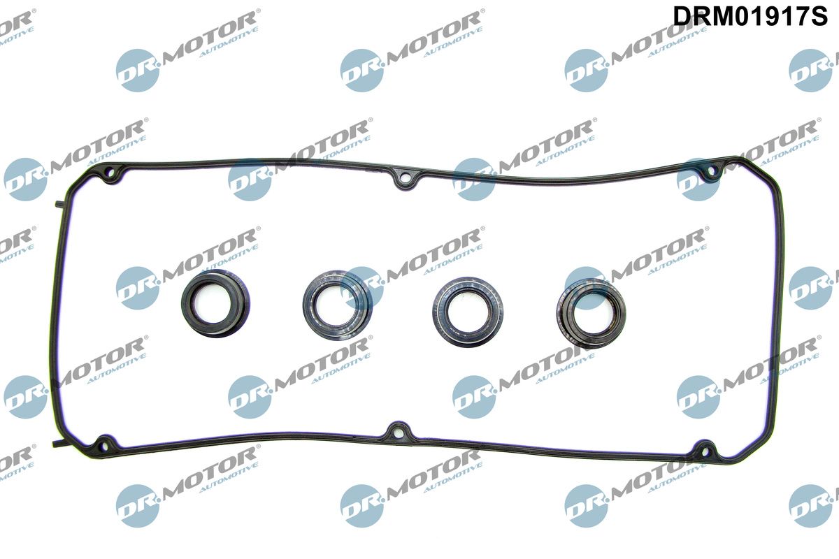 Gasket Set, cylinder head cover (DRM01917S)
