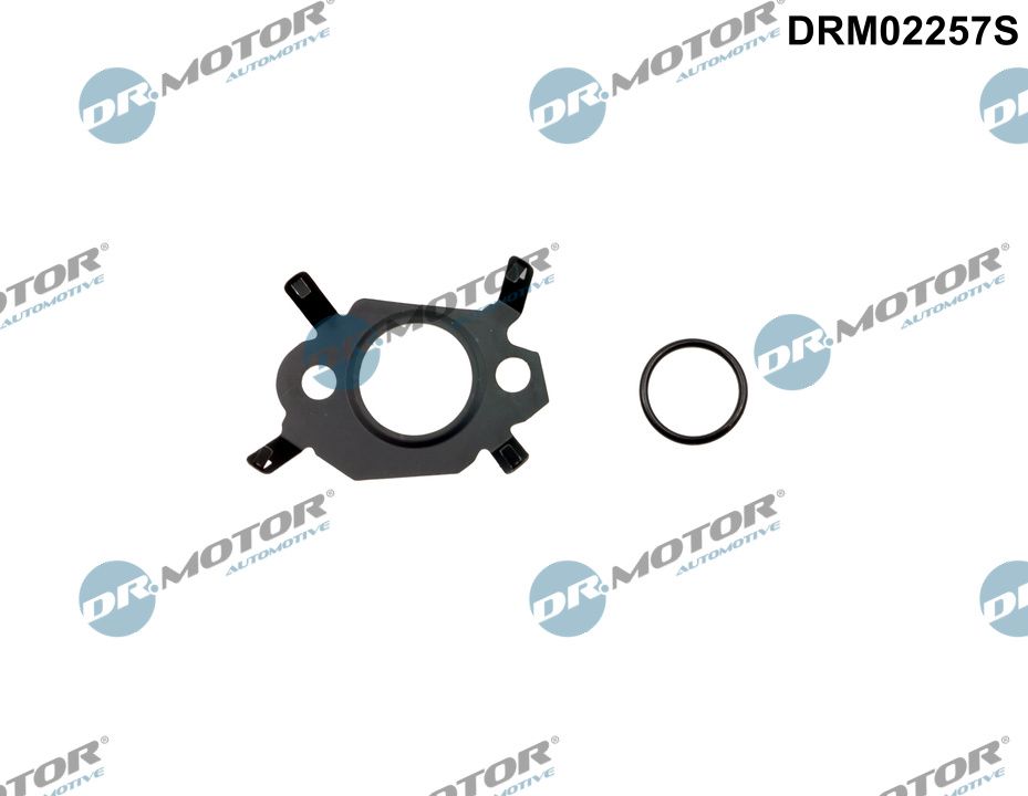 Gasket Set, EGR system (DRM02257S)