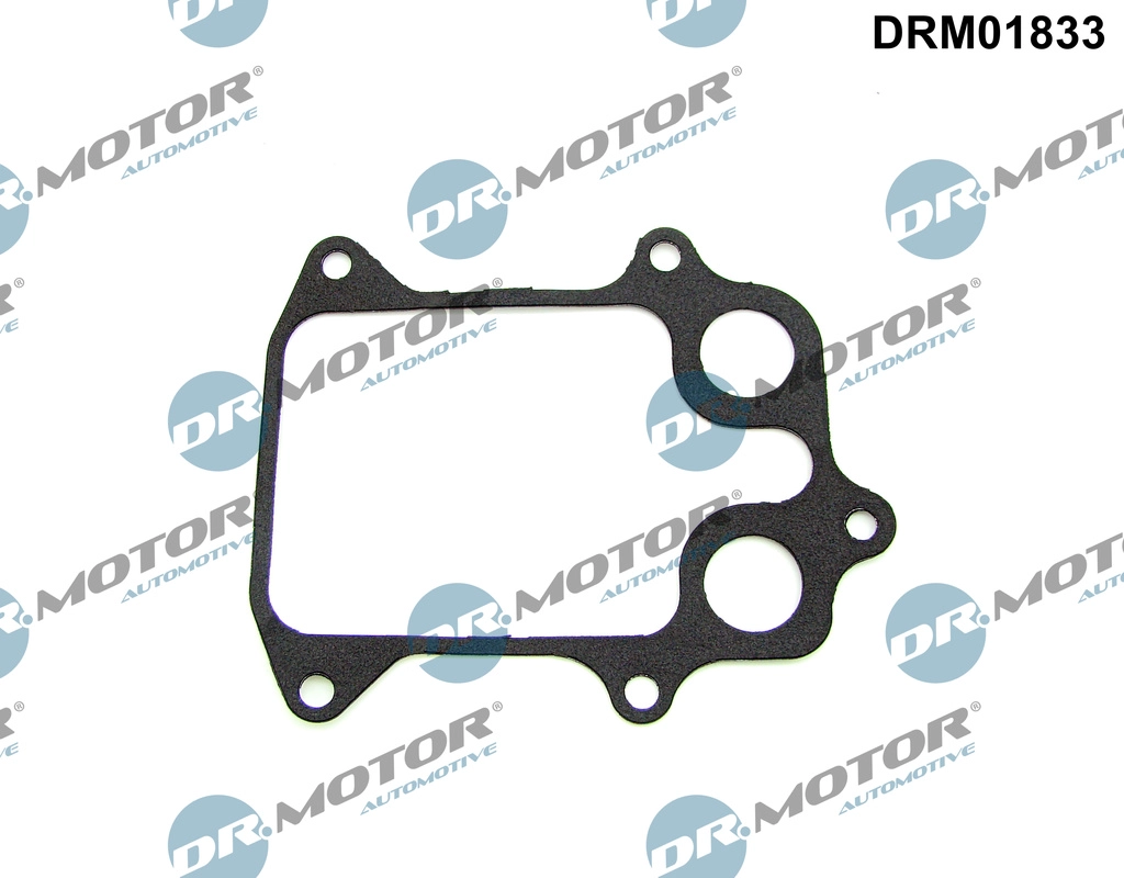 Gasket, oil cooler (DRM01833)