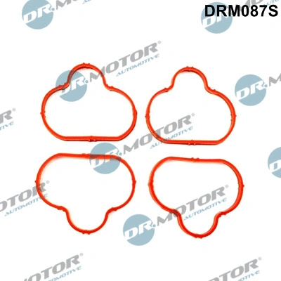 Gasket Set, intake manifold (DRM087S)