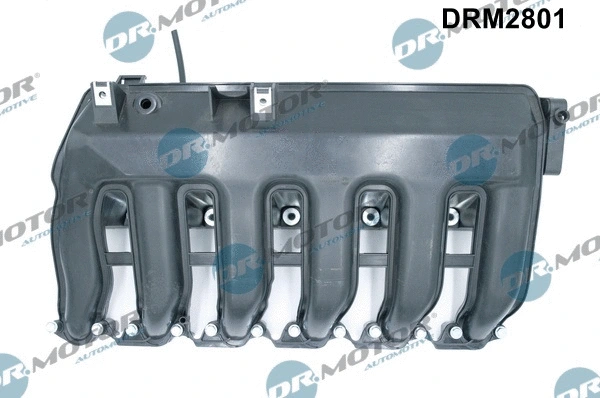 Intake Manifold Module (DRM2801)
