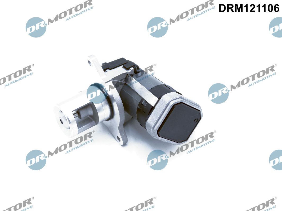 EGR Valve (DRM121106)