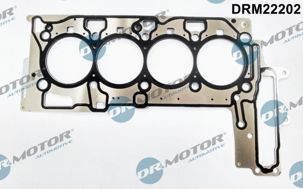 Gasket, cylinder head (DRM22202)