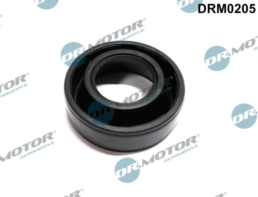 Seal, injector holder (DRM0205)