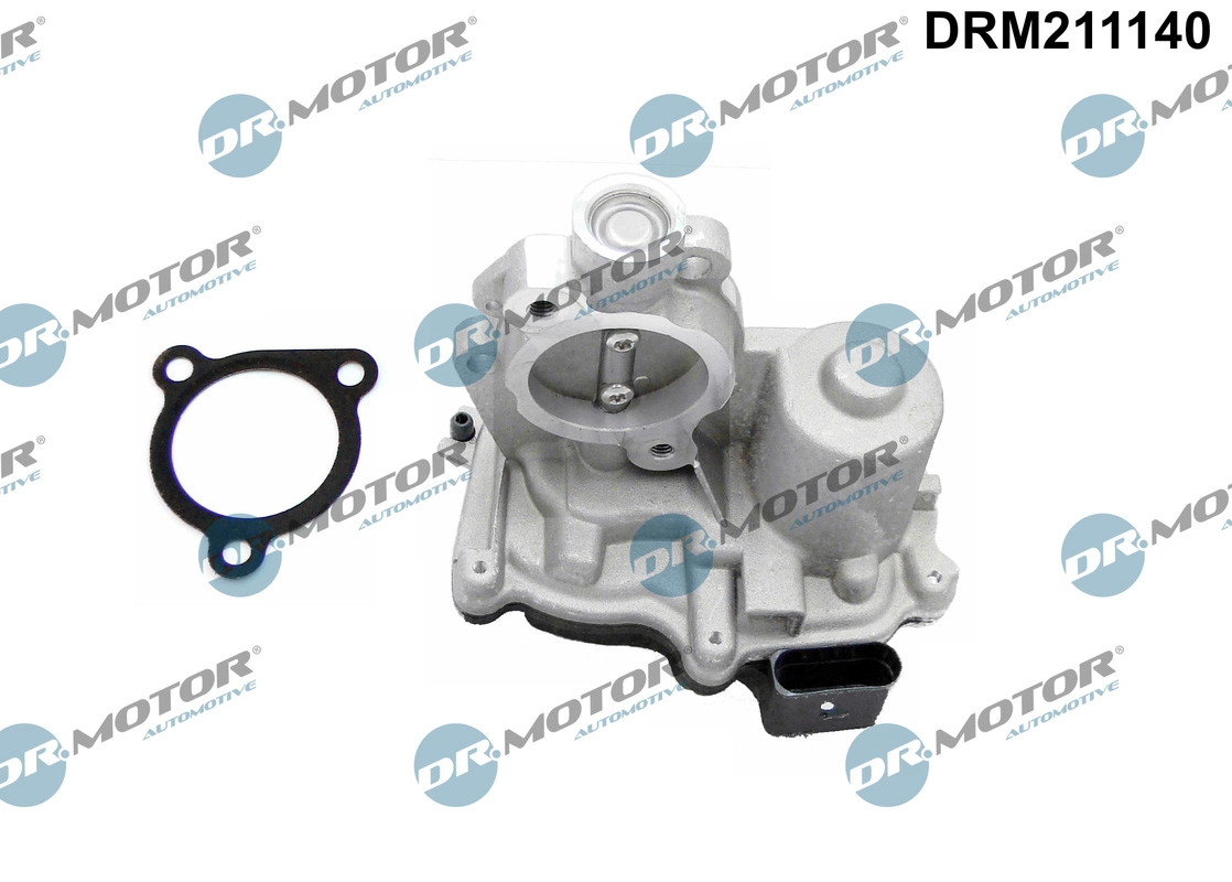 EGR Valve (DRM211140)