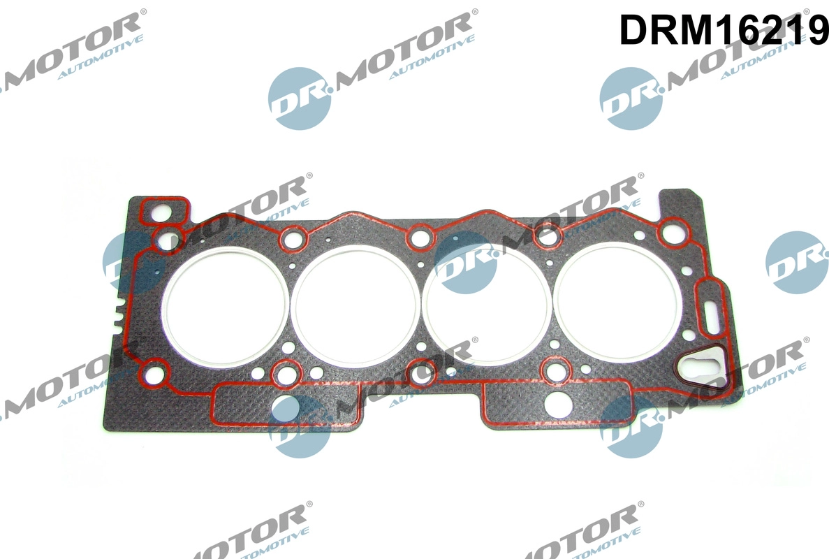 Gasket, cylinder head (DRM16219)