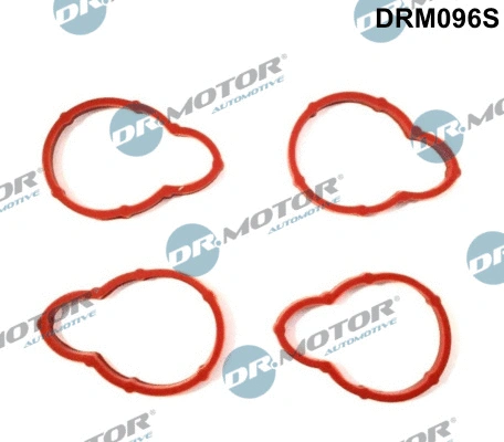 Gasket Set, intake manifold (DRM096S)