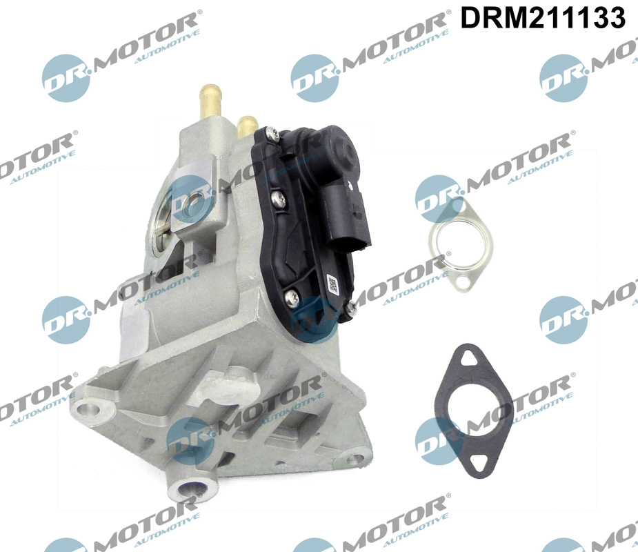 EGR Valve (DRM211133)