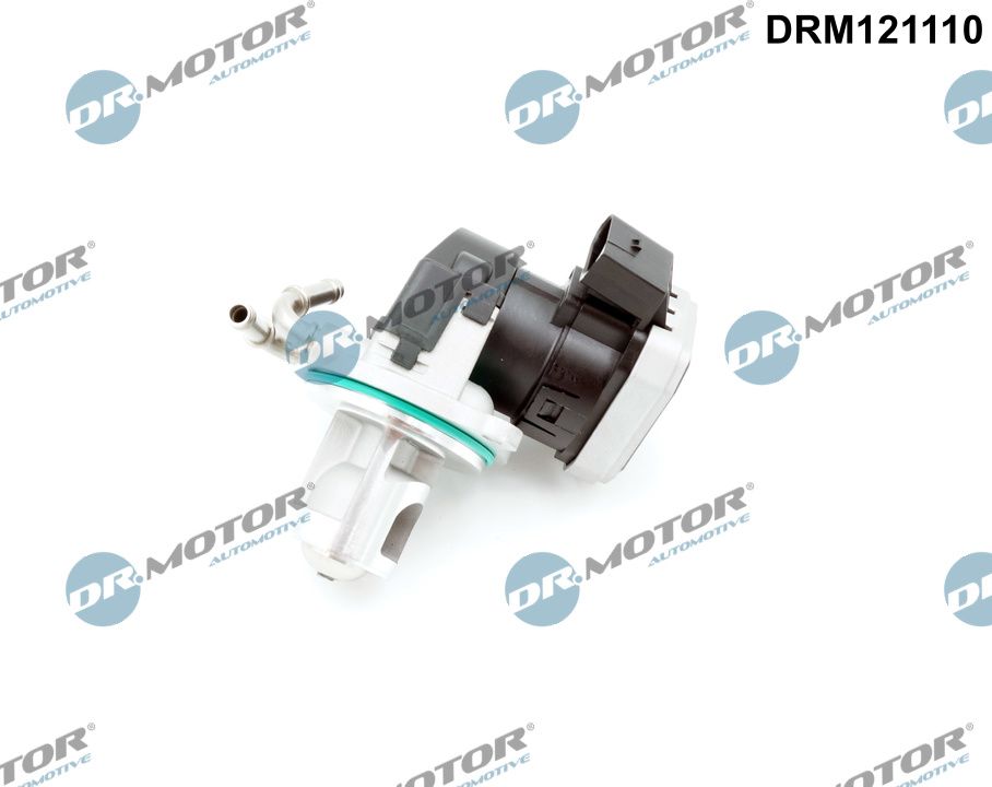 EGR Valve (DRM121110)