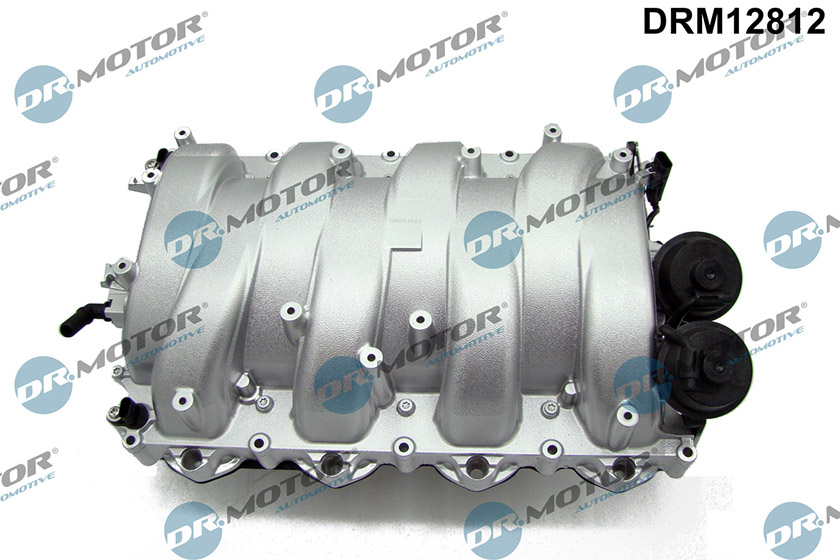 Intake Manifold Module (DRM12812)