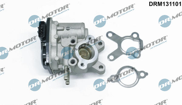 EGR Valve (DRM131101)