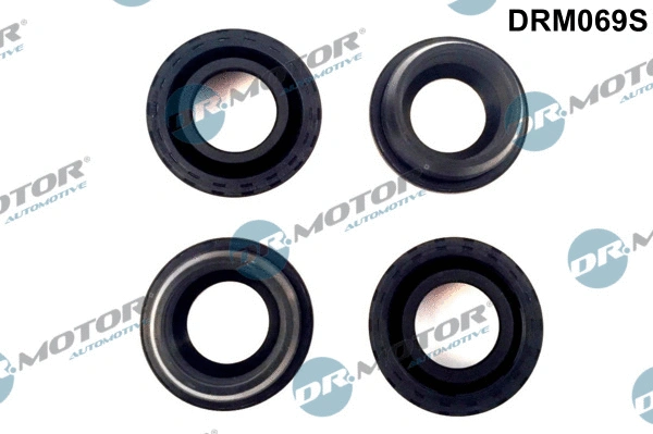 Seal Ring, spark plug shaft (DRM069S)