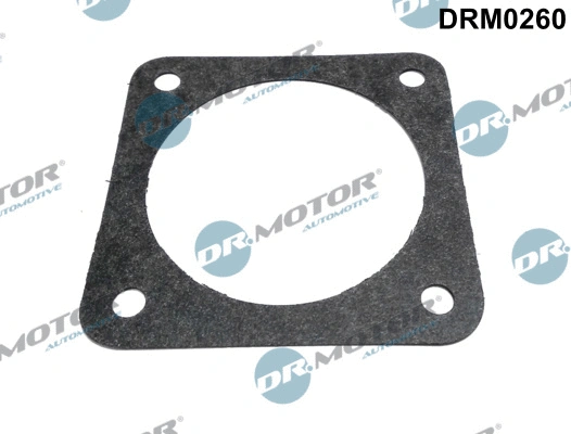 Gasket, throttle body (DRM0260)